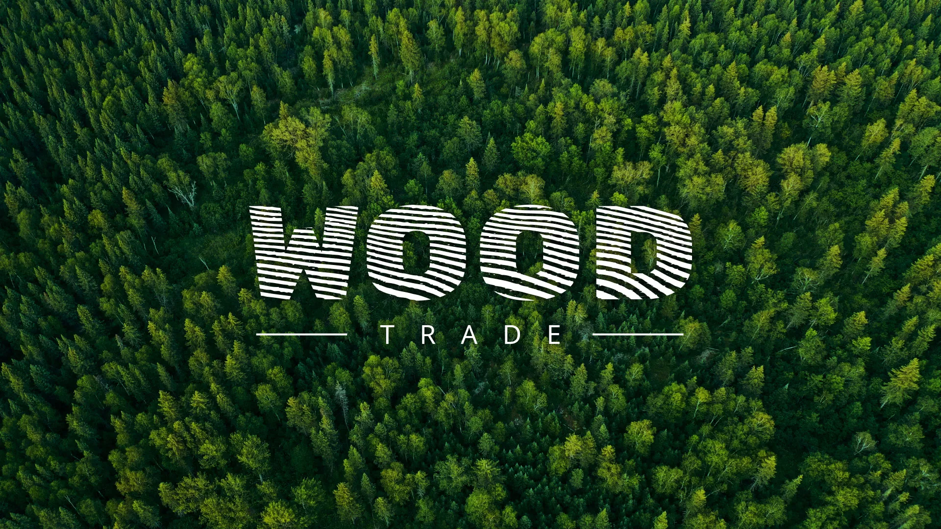 Разработка интернет-магазина компании «Wood Trade» в Кизляре